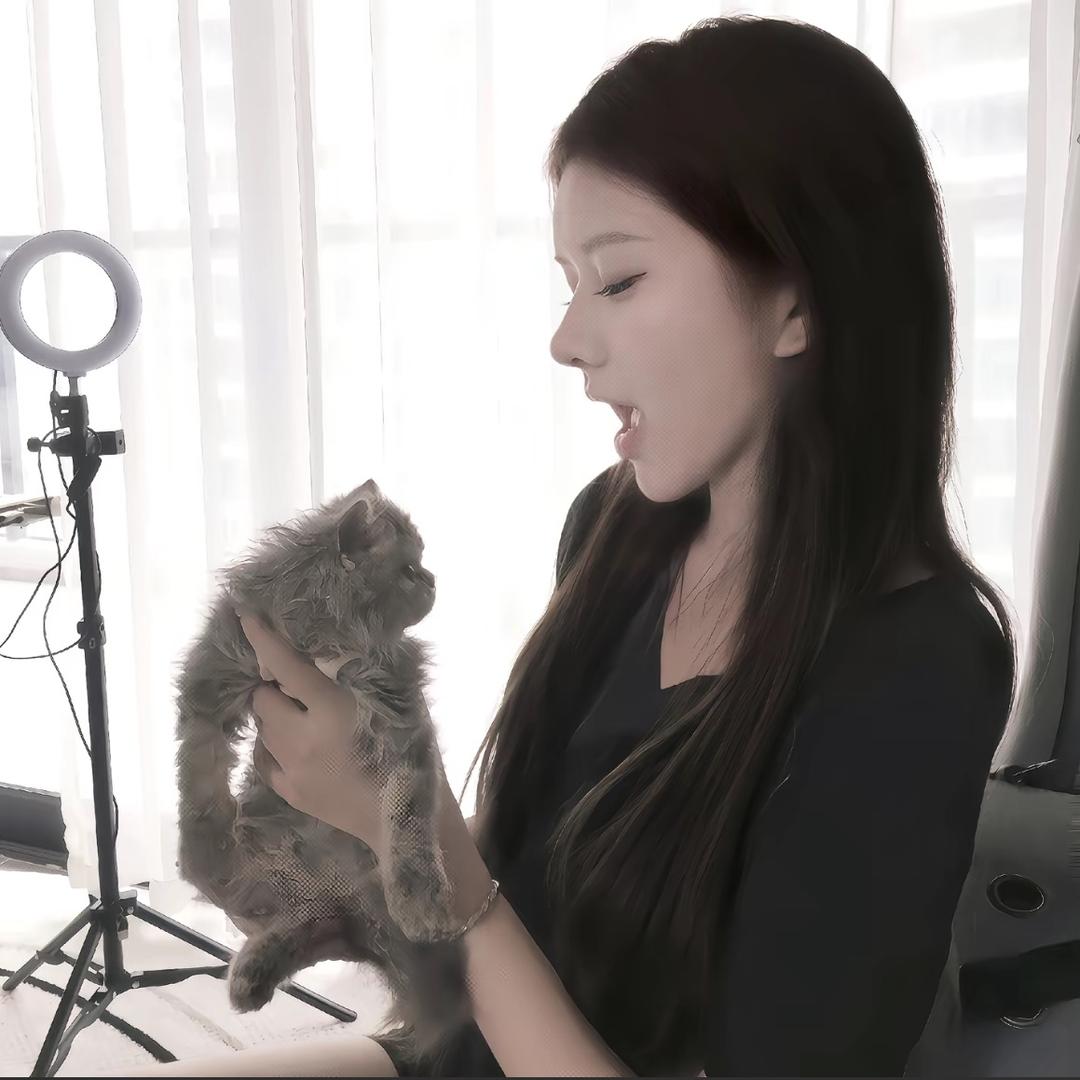 奶盖