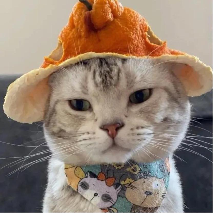 不愿透露真实姓名的陌生网友