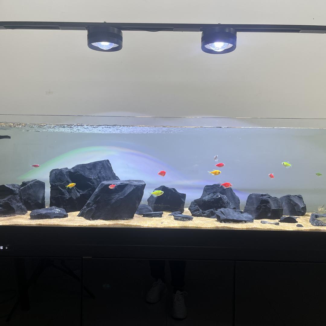星海鱼缸工厂店