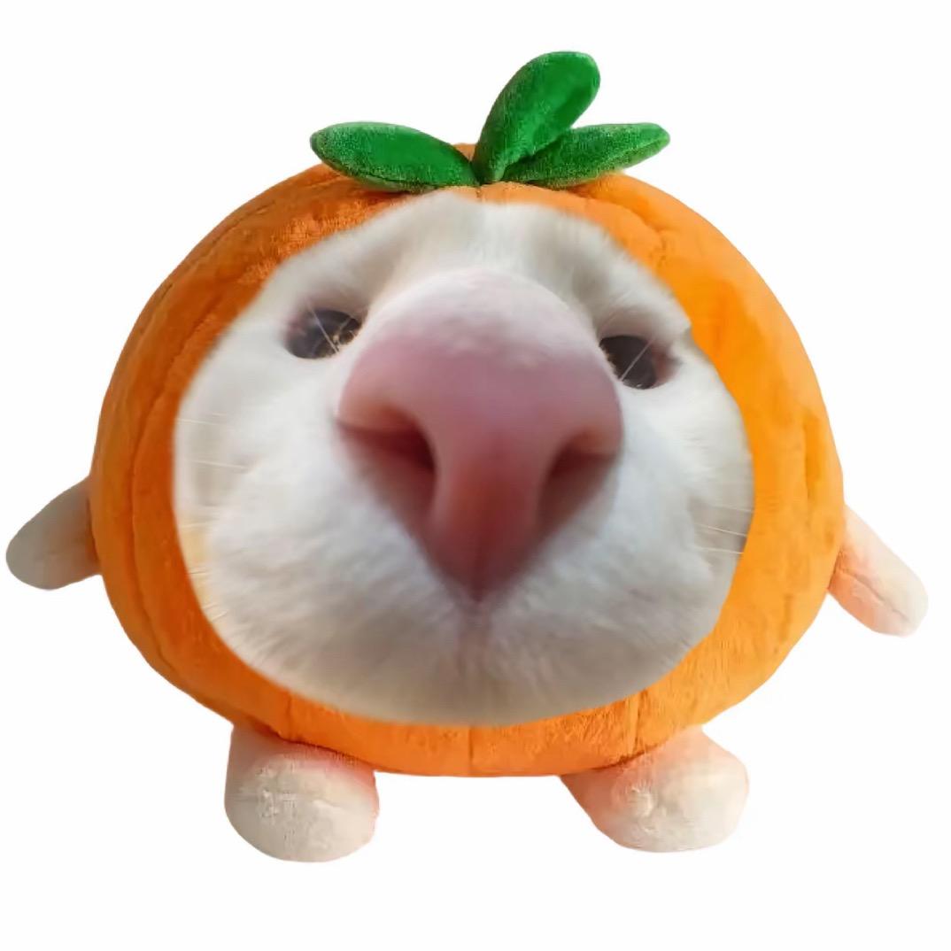 岸璟悸