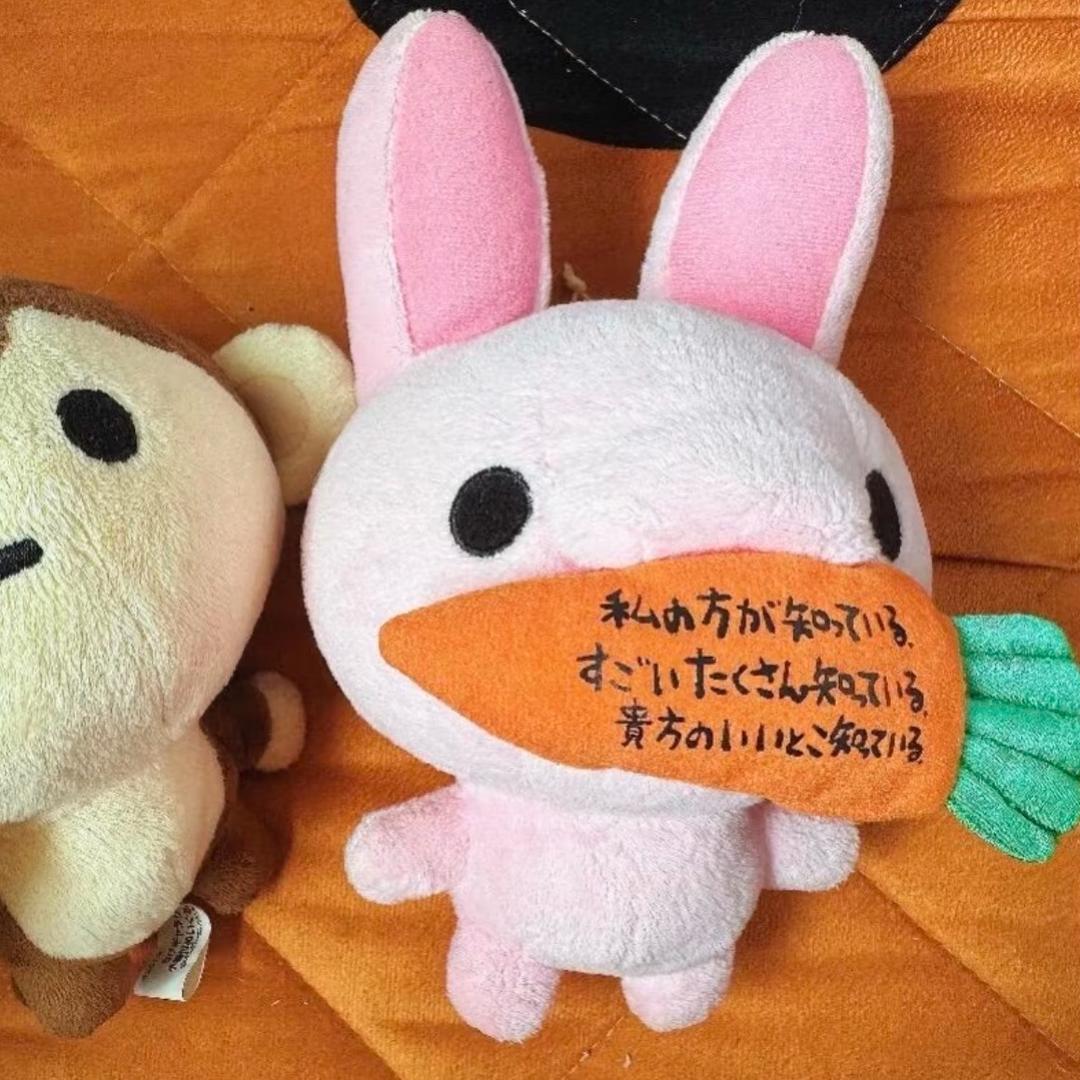 是橙子还是橘子
