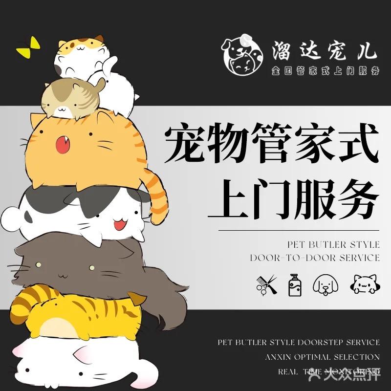 遛达宠儿