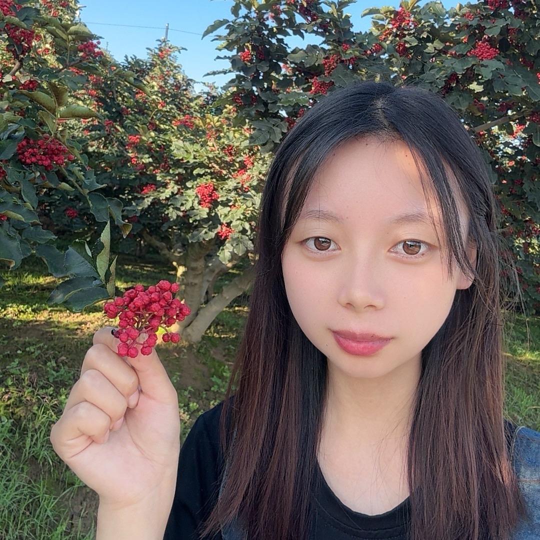 灰姑娘小白