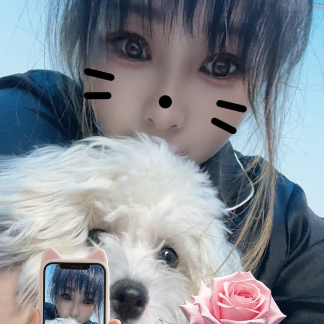 寶爺
