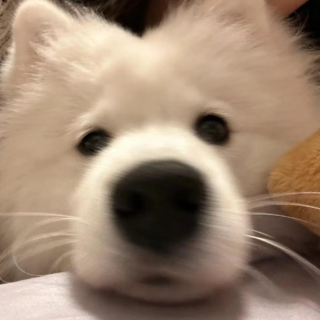 Zero_