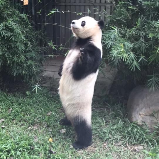 星星要吃饭妹妹要睡觉