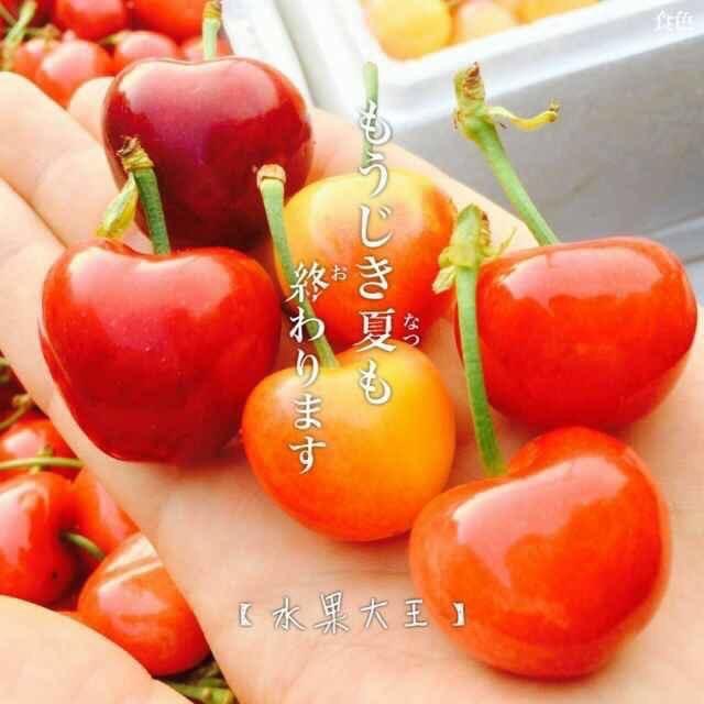 卖水果的小蜜蜂