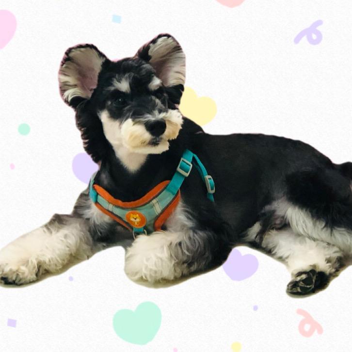 🌈🌈🌈彩虹屁TT🌈🌈🌈