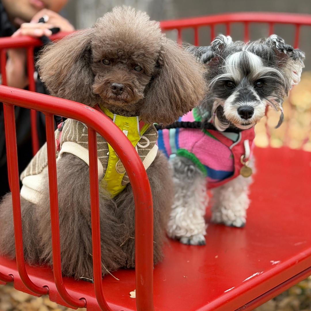 卢卡斯和凯瑟琳