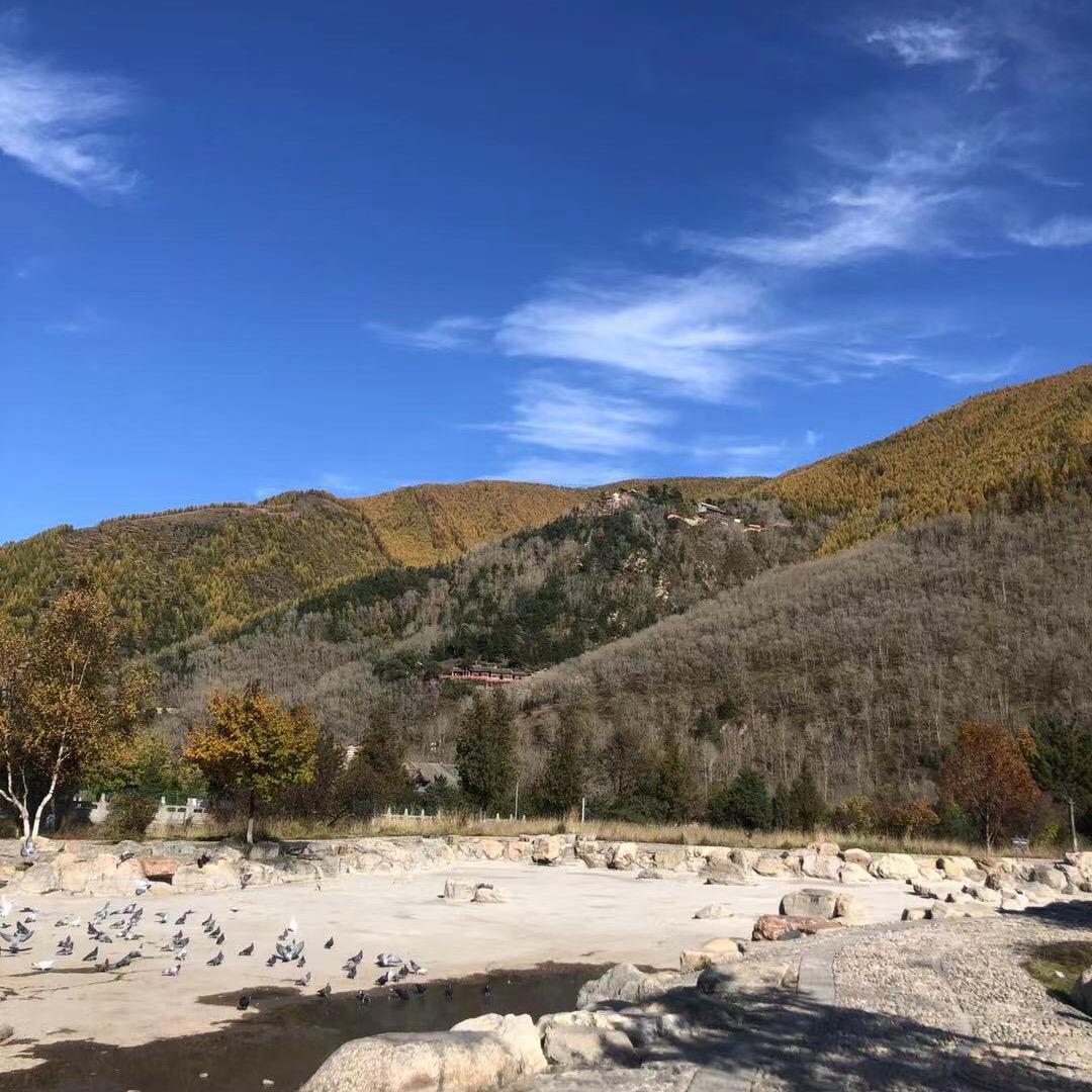 善堂-大师兄淮北市相山区