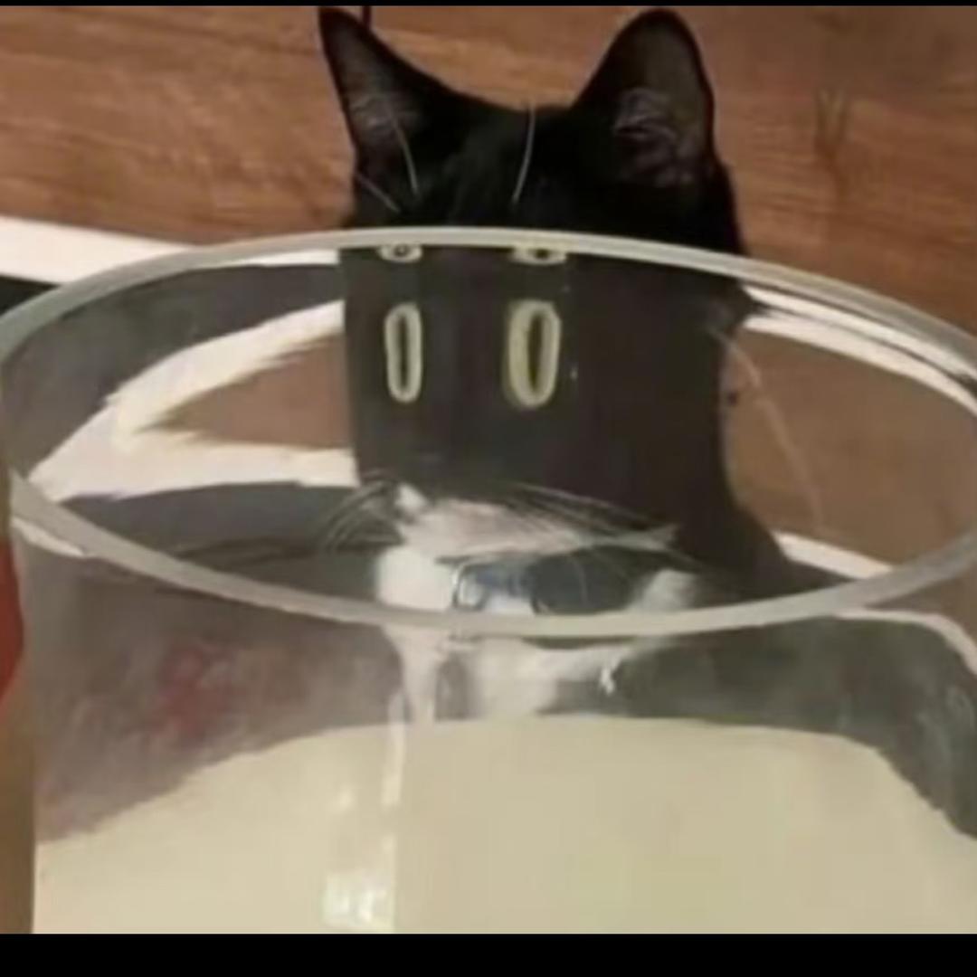 ………