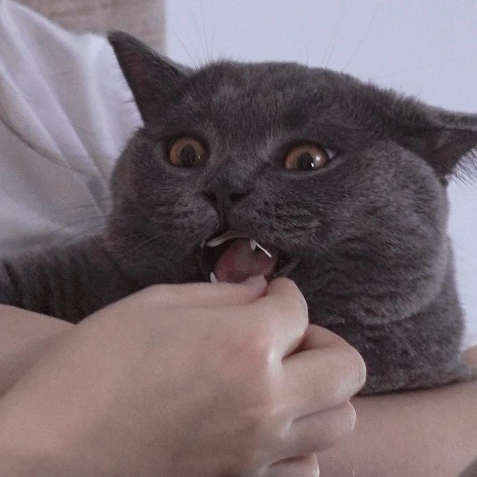 曼妮