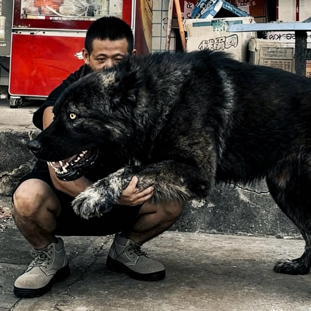 麦·大蛇·