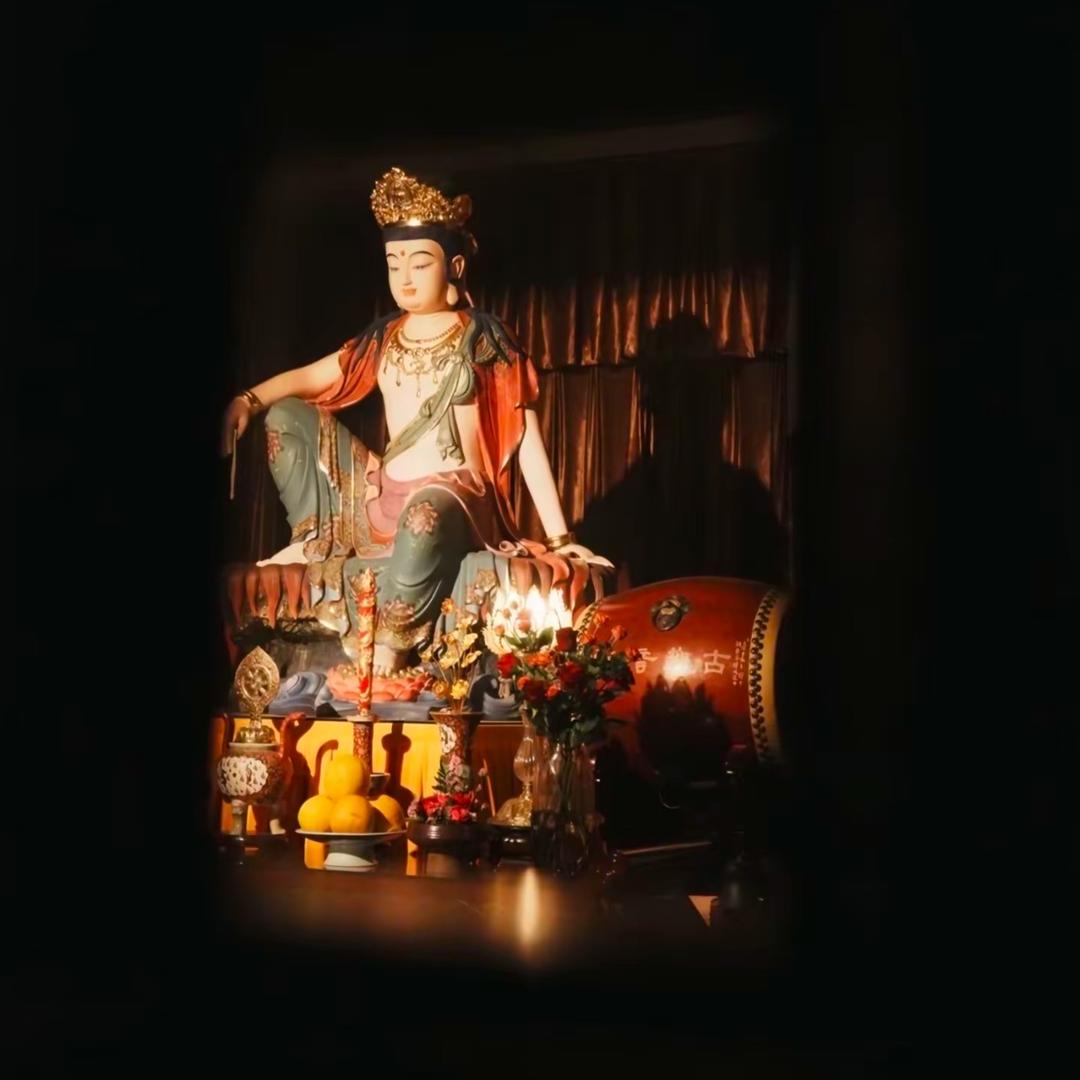 怀揣梦想的自在菠萝hS