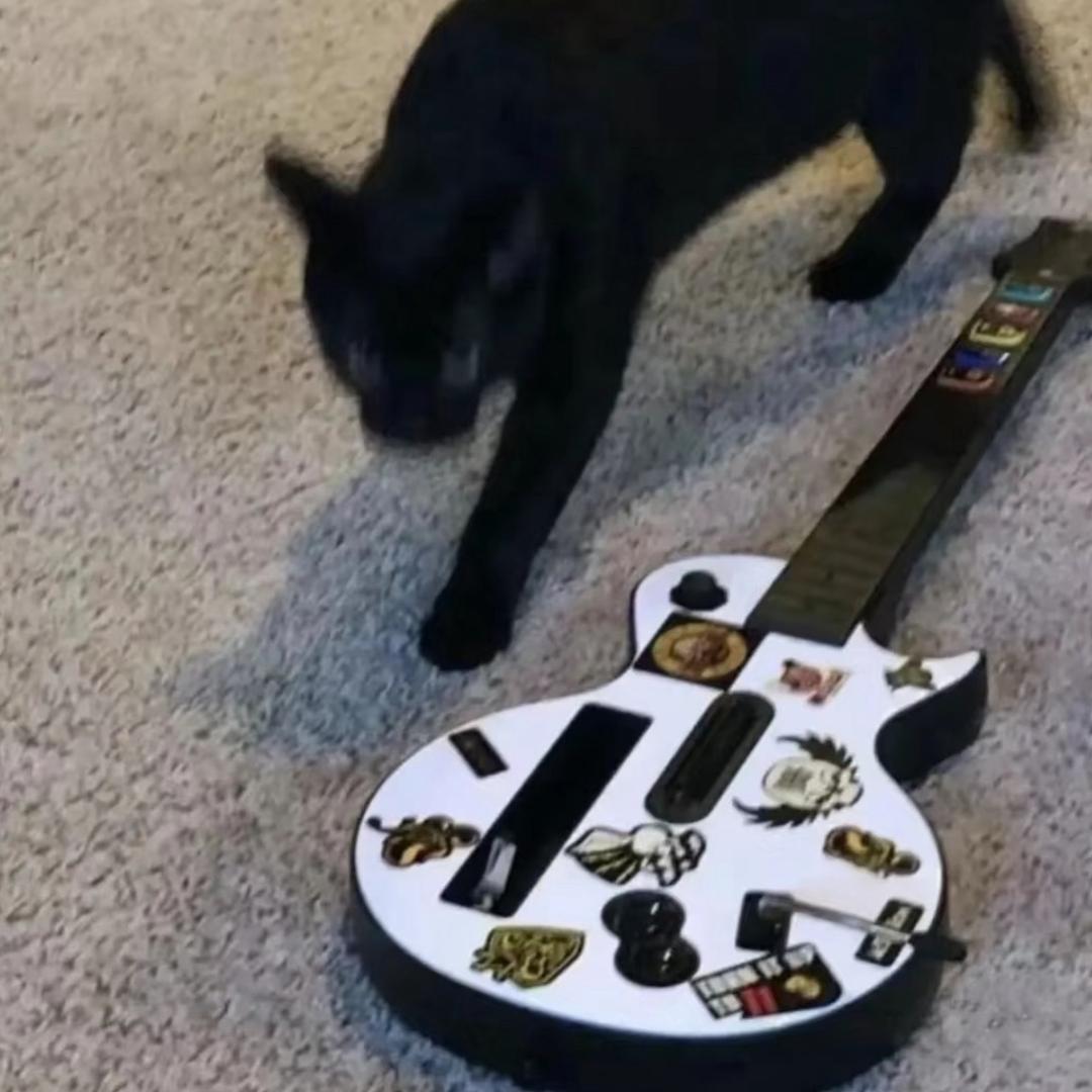 羽绒衣🐾