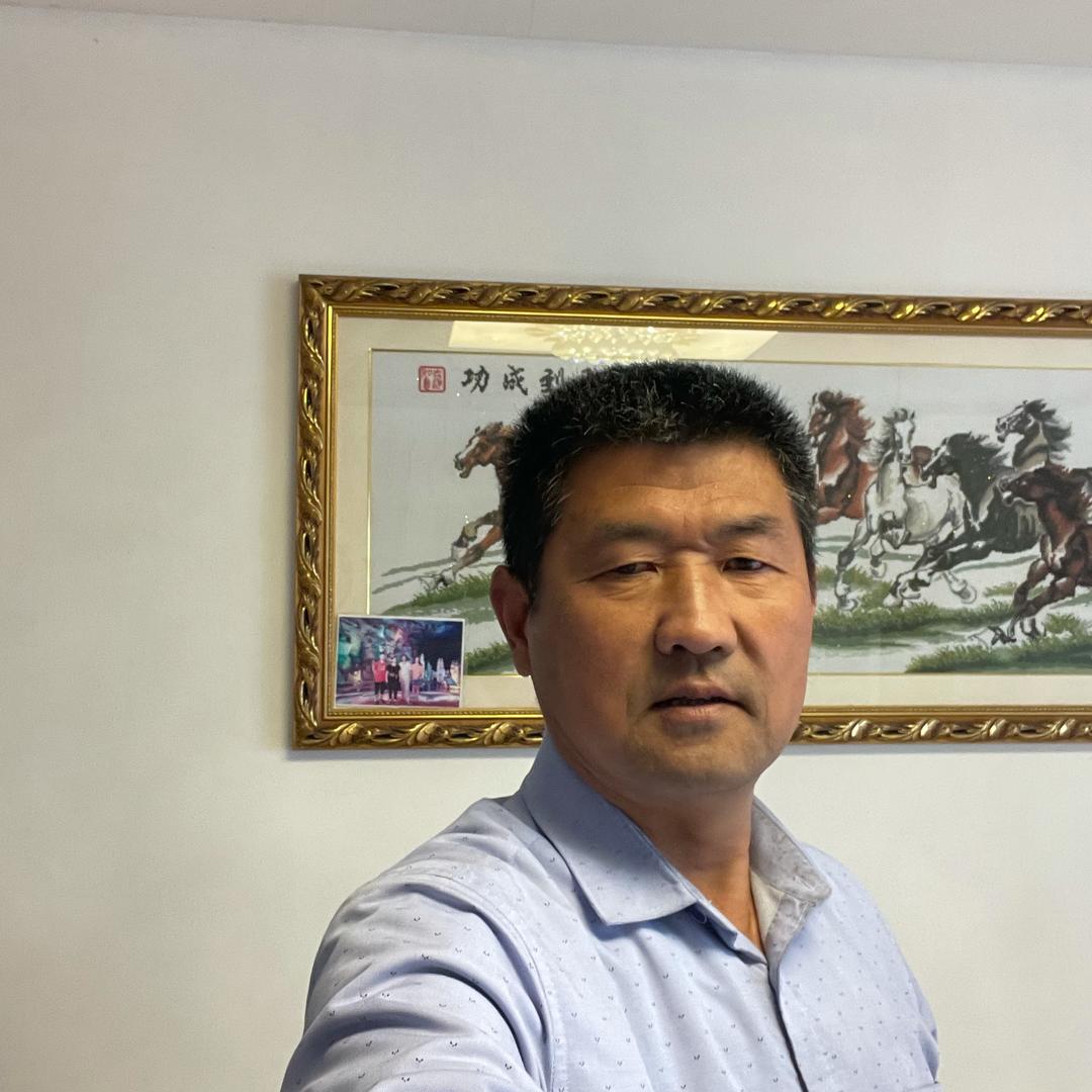 群雁-飞歌