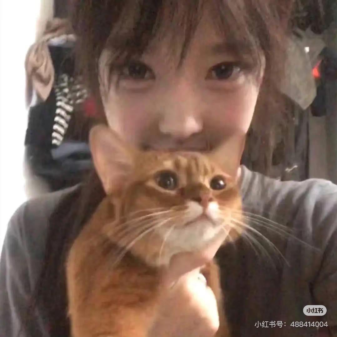 我不知道别问我