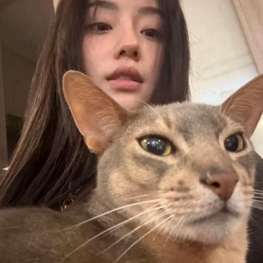 仅你可见.