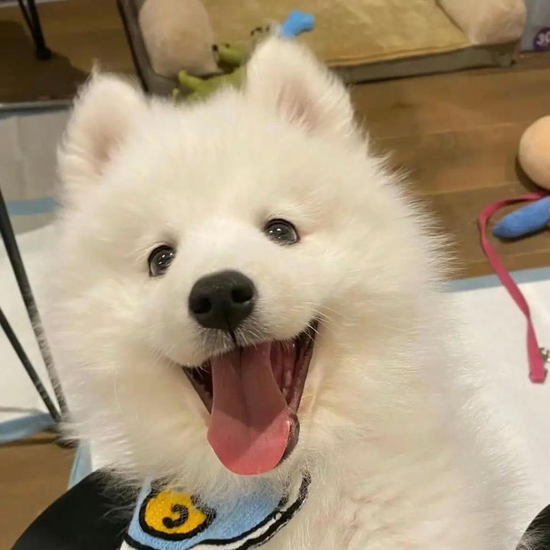 晚风吹送天河星