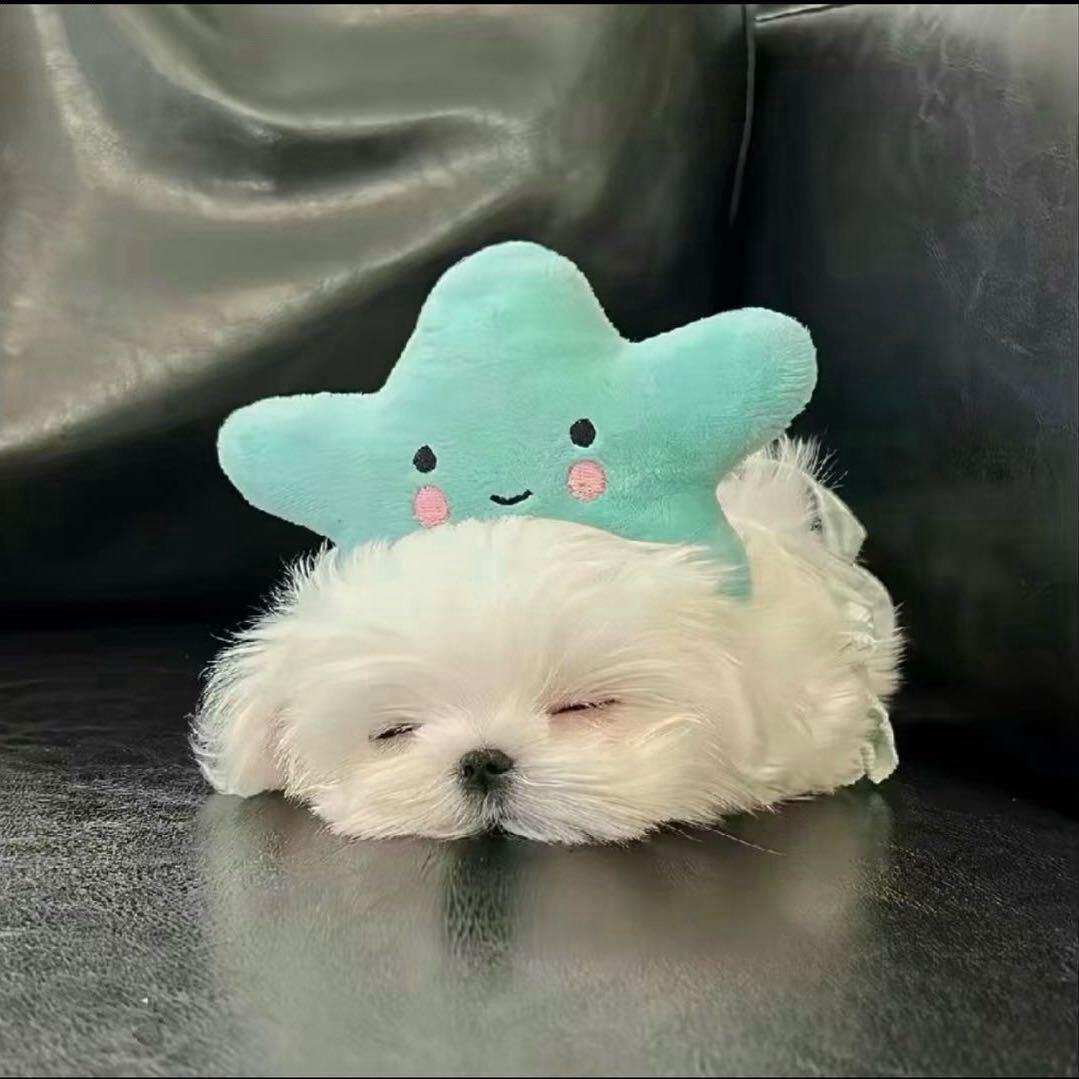 7Qiuui