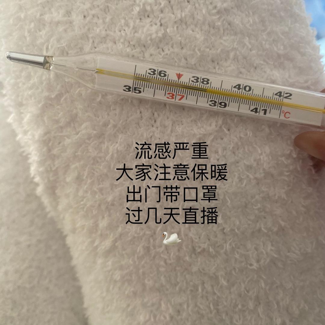 予你荷荷 🦢