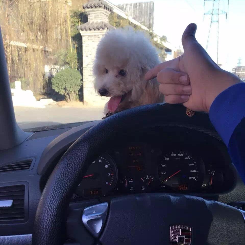 ᝰꫛ小九总ꫀꪝ