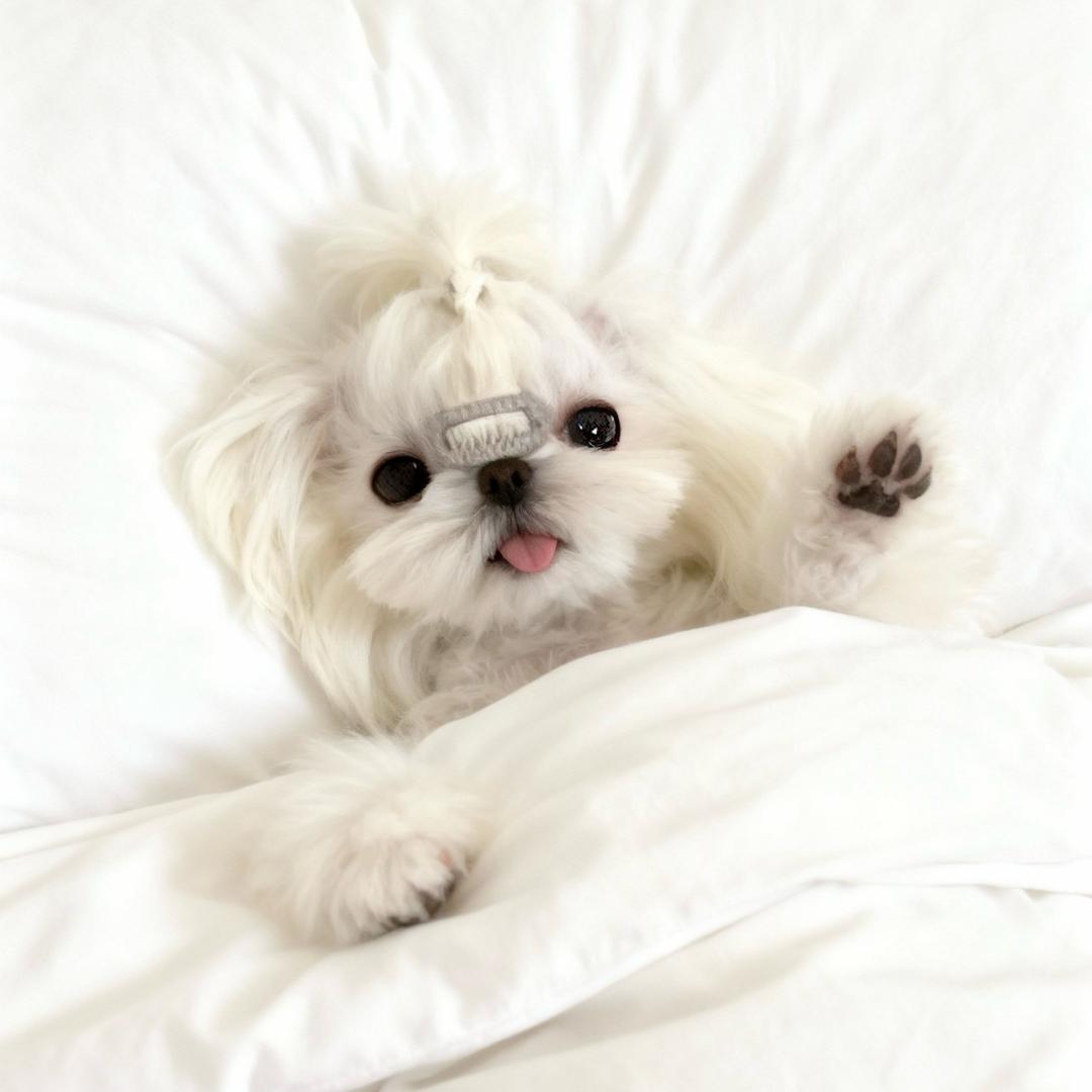 我睡觉的时候不困🫧