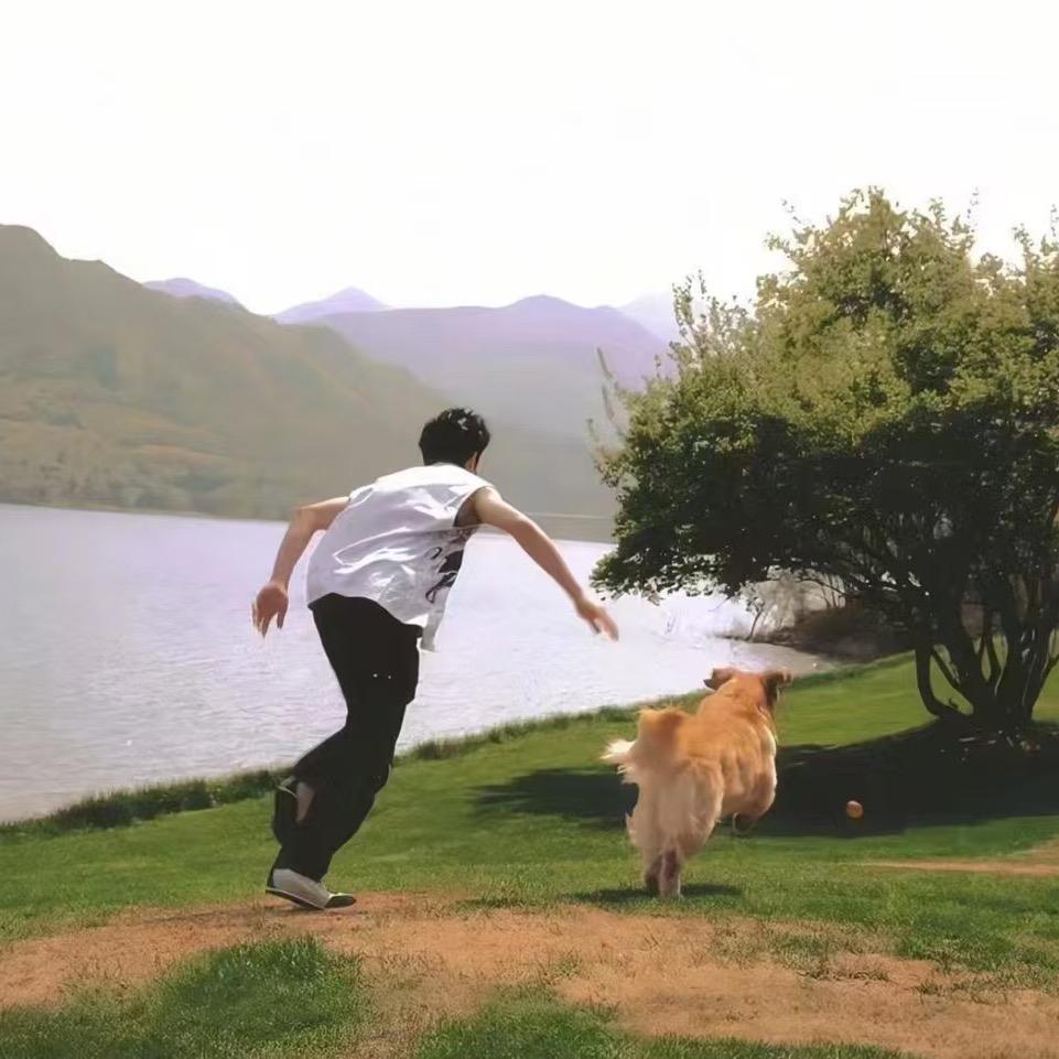 Silly idiot