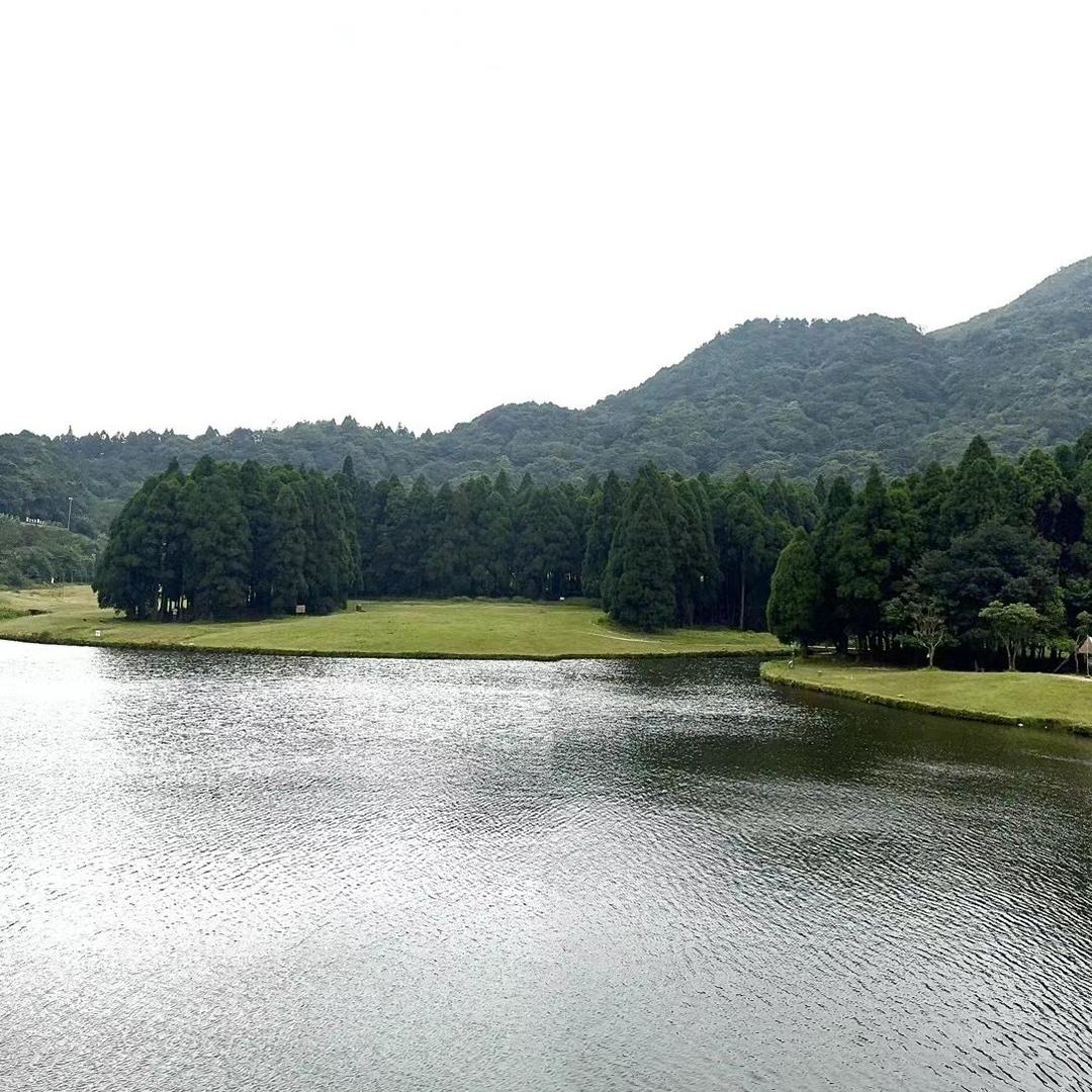 懒猪🐷p lu s