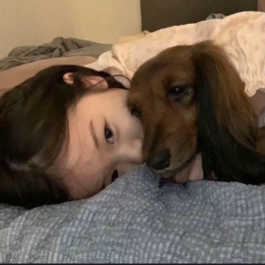 豆浆糊
