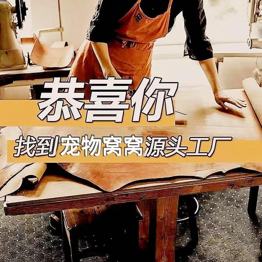 霸道总裁只“宠”你