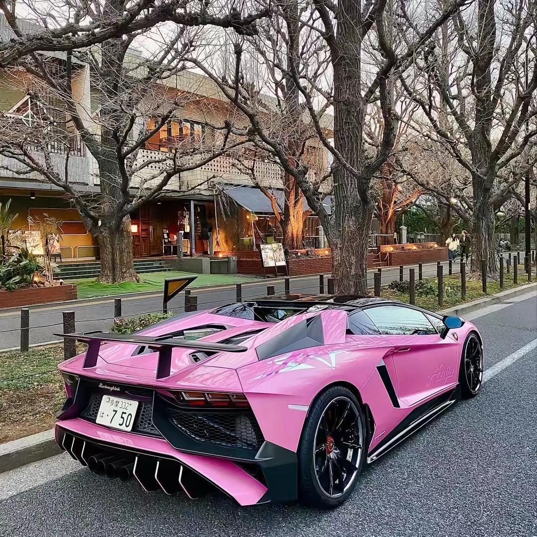 天津盛世锦豪(祖小婷）