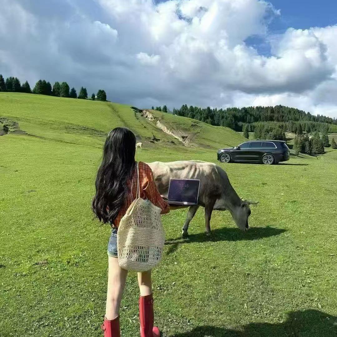 新疆佳途行迹纯玩小团