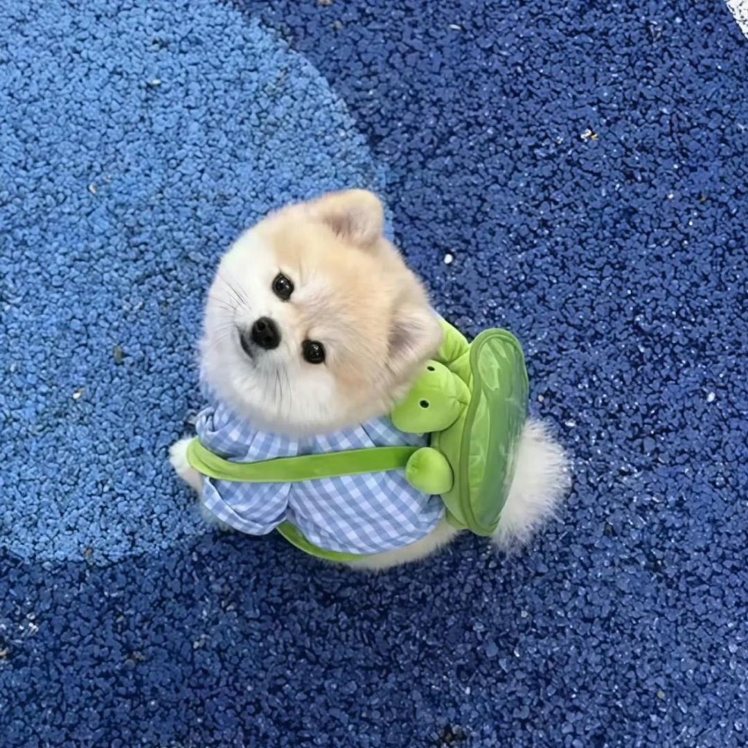 分分钟被颗秒