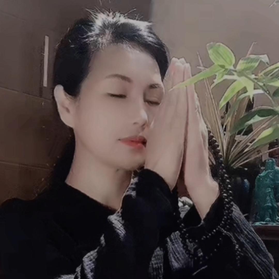 小七《悟》