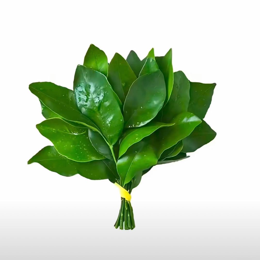 归属.