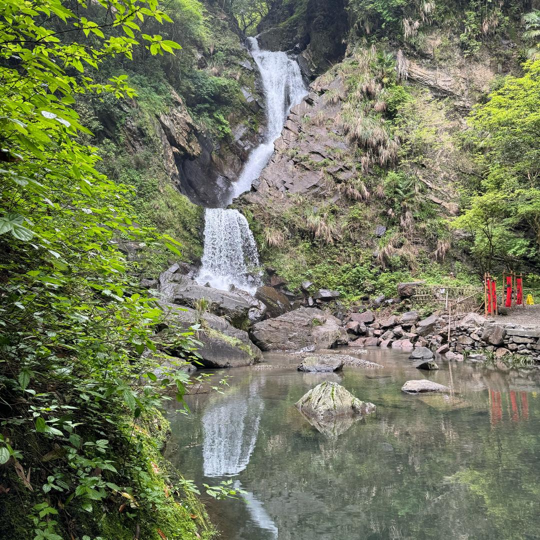 一颗小草，落地而生／
