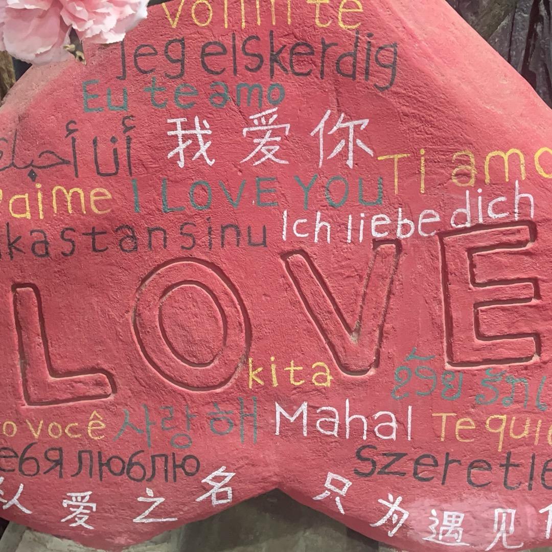 旺旺哥