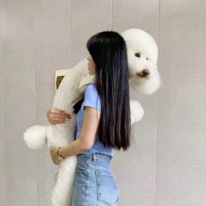 咪哆宠物