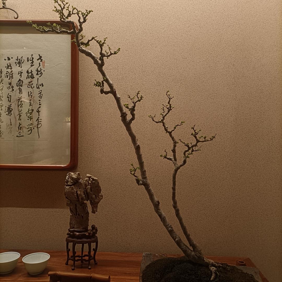 南京定昏乏二有限公司