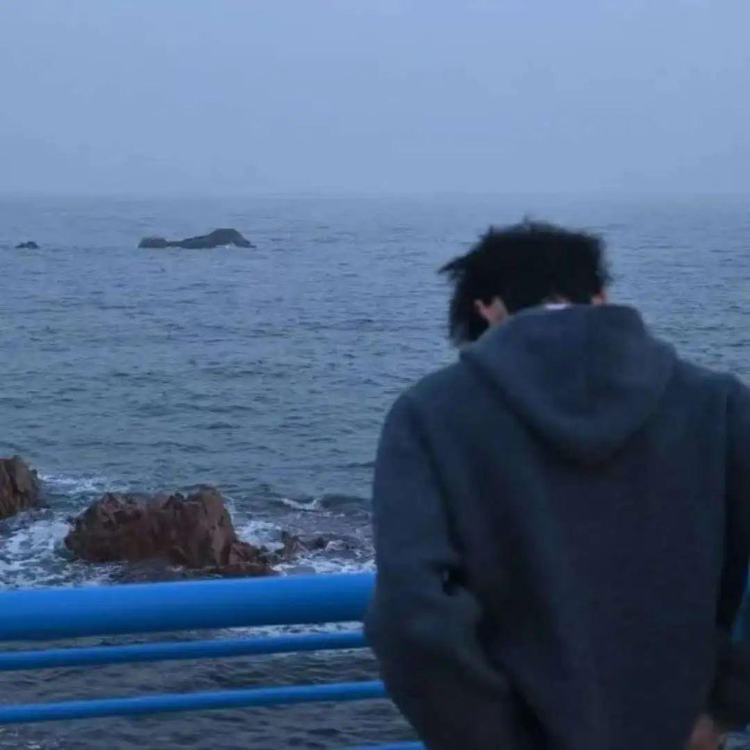 🐑🐑🐑（miss的小puppy）