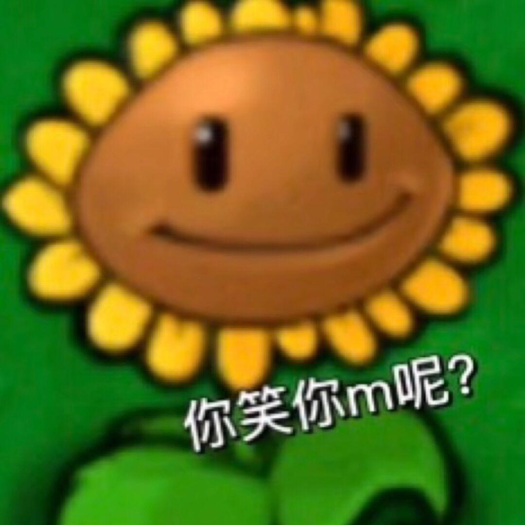 暴躁向日葵