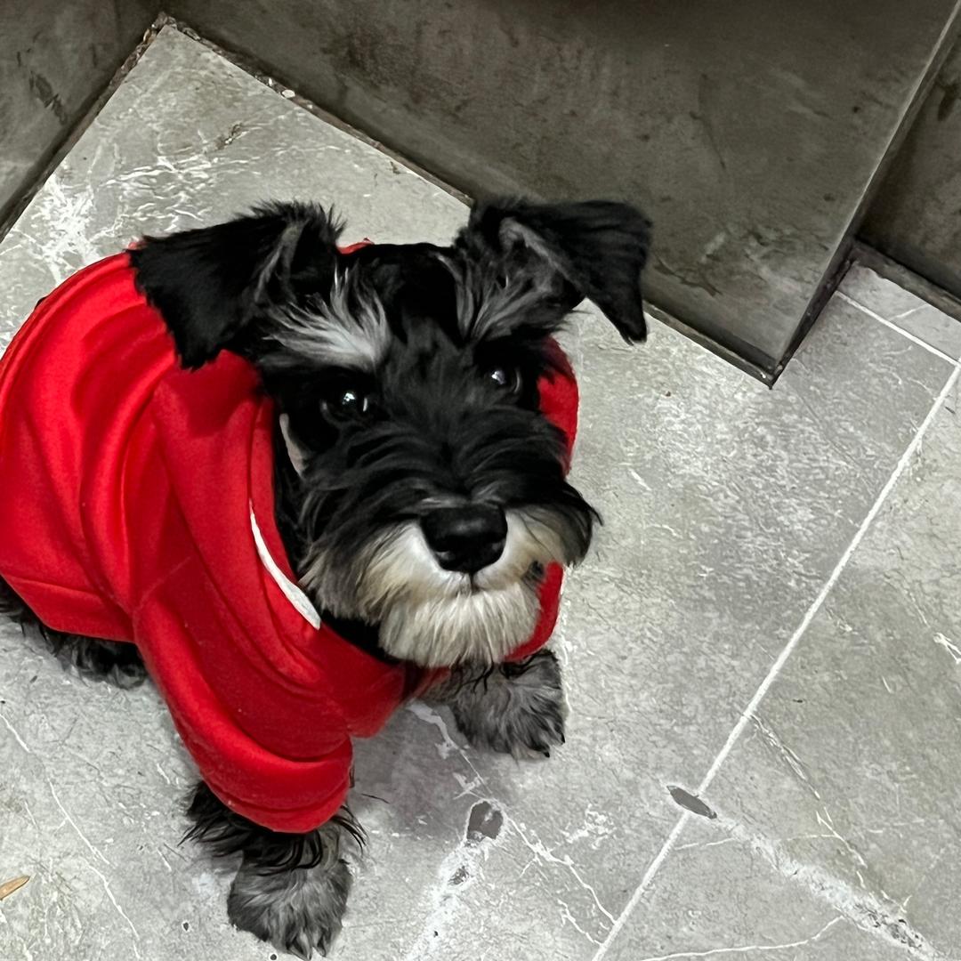 油腻小丸子☁️