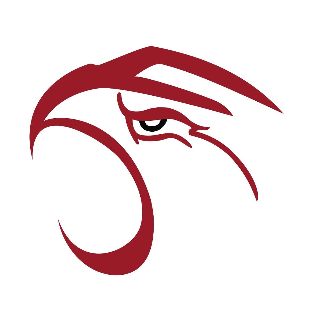 重庆飞鹰体育（常年招生）