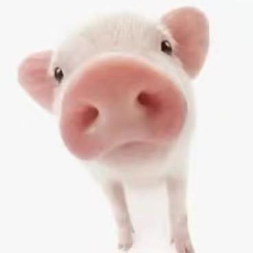 东海张若楠盈盈酱（备用号）