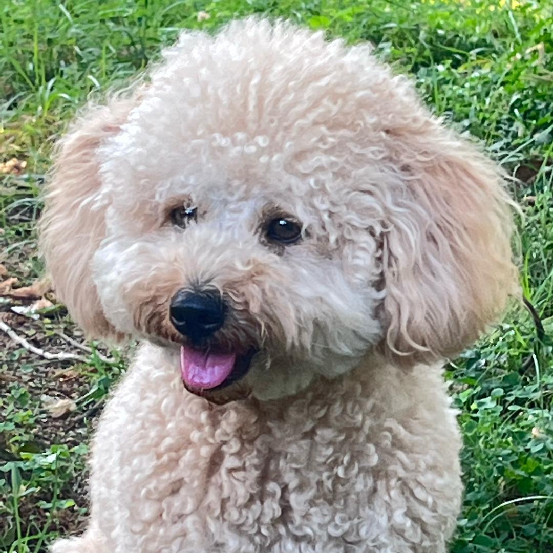 ❤️吉祥如意❤️