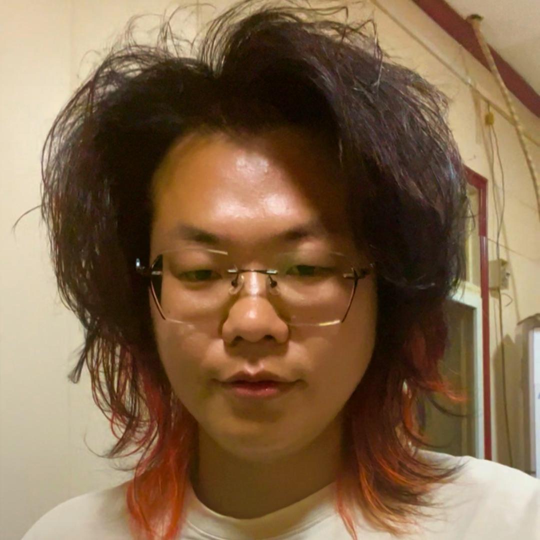 雷强侠
