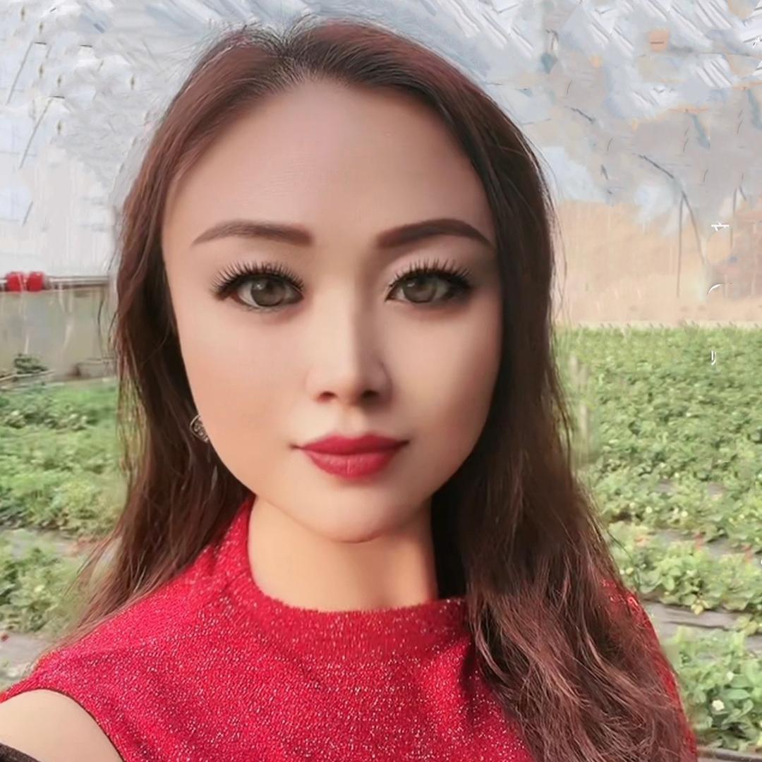 淡泊人生