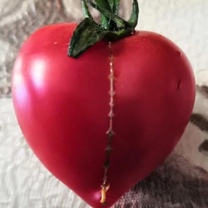 安妮👩‍👧‍👦