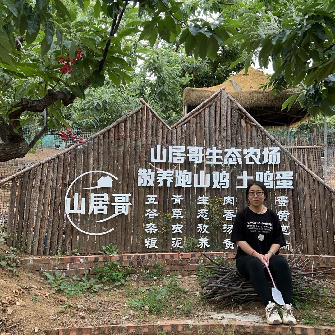 失业后二道岭养鸡
